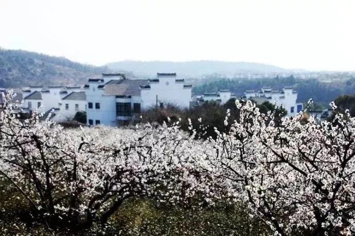 2024年春节期间HPV疫苗接种时间安排
