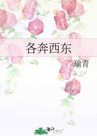 文明6