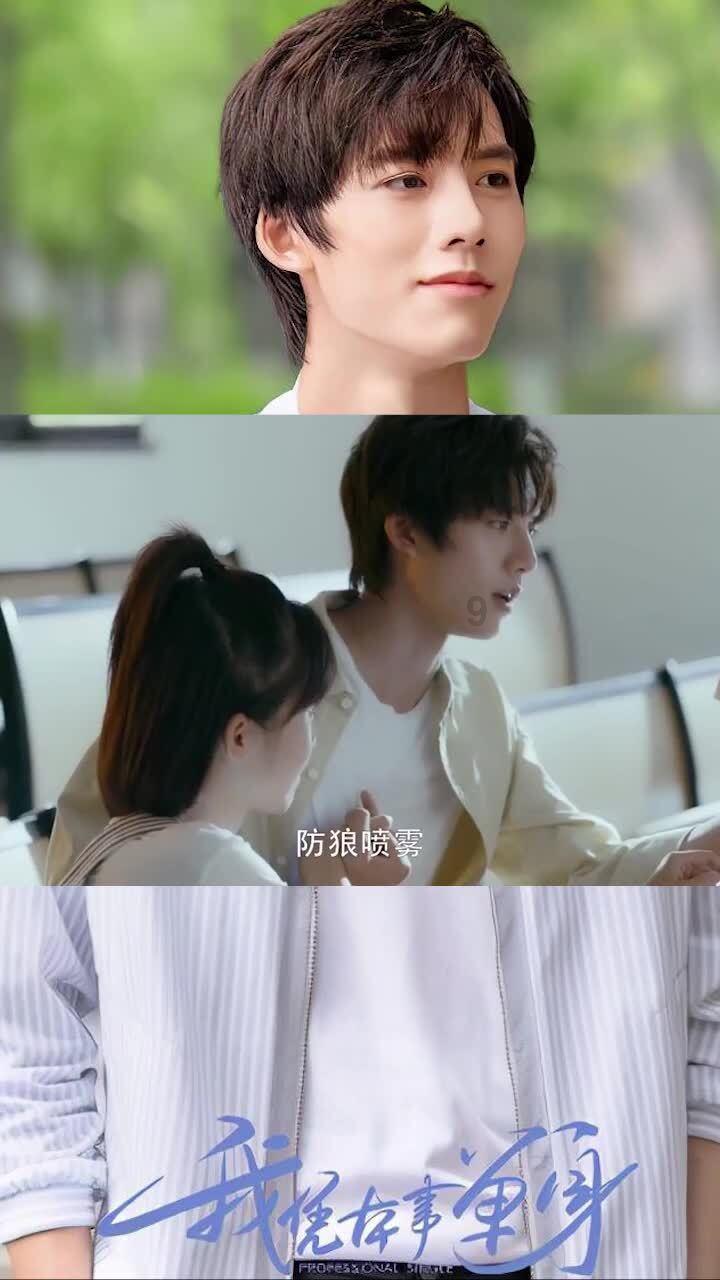 动物拼一拼